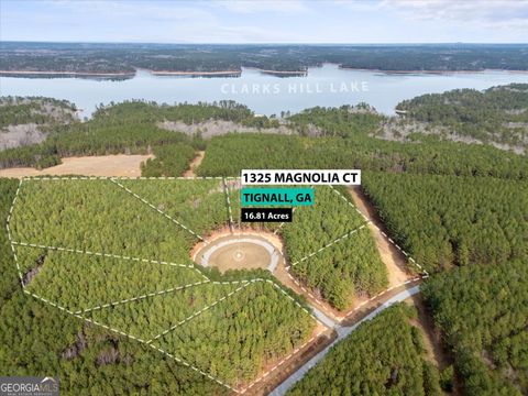 Photo of 0 Magnolia Court, Tignall, GA 30668 (MLS # 10683057)