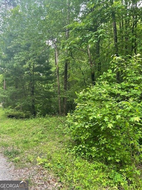 Photo of 0 McCormick Drive, Dawsonville, GA 30534 (MLS # 10509566)