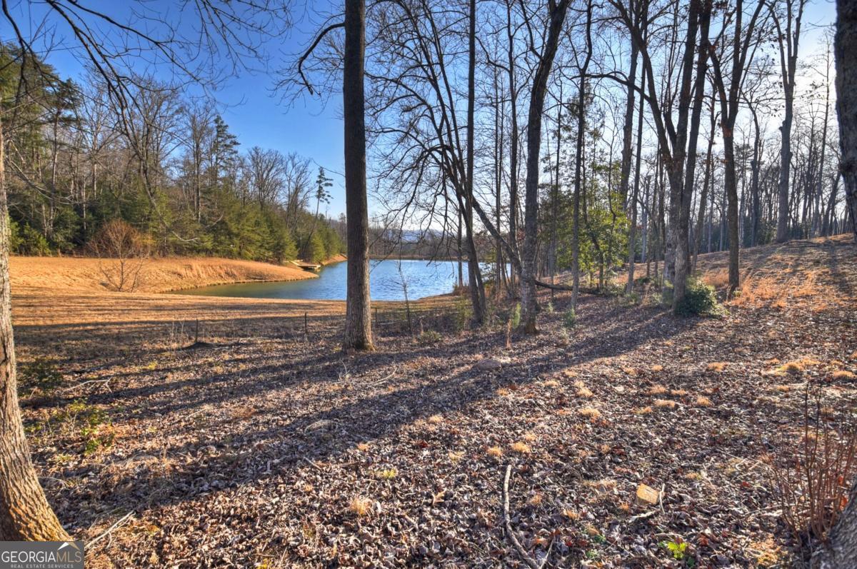 17 Dial Mountain DR 1,2