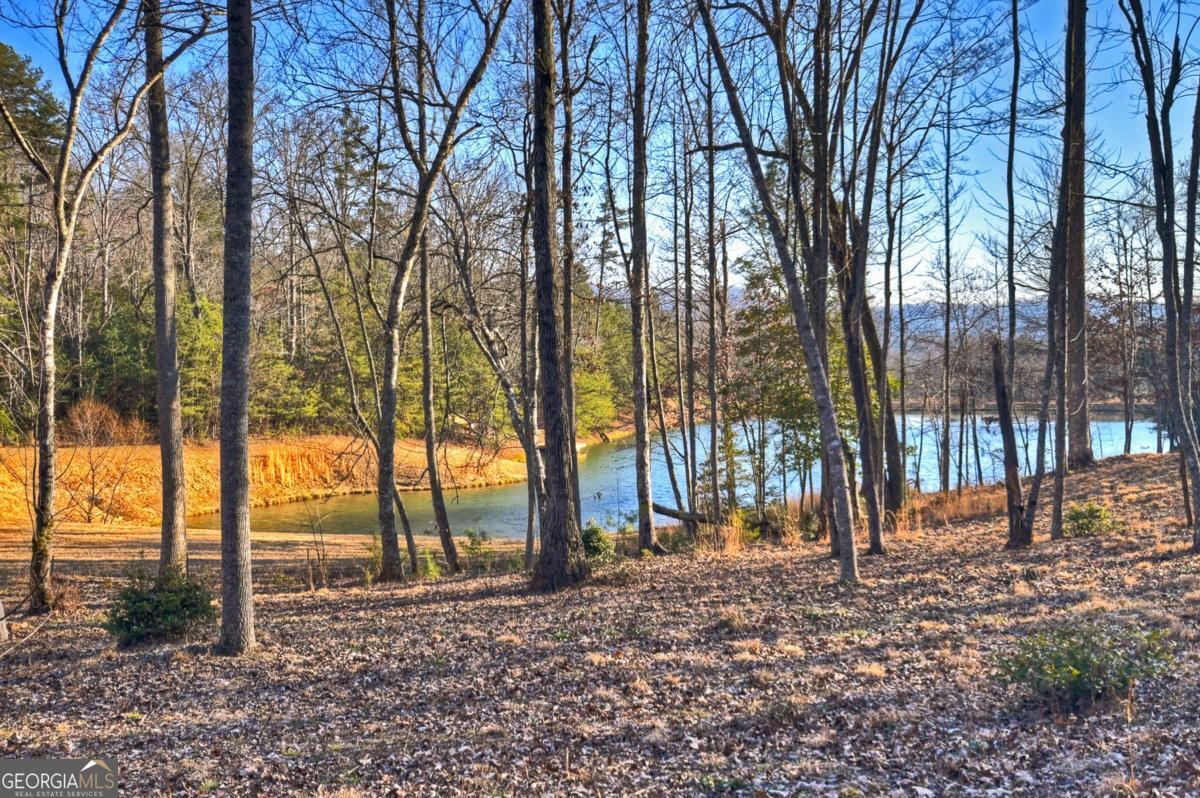 17 Dial Mountain DR 1,2