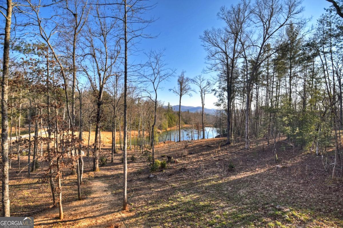 17 Dial Mountain DR 1,2