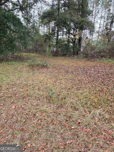 Photo of 861 Brinson Road, Brooklet, GA 30415 (MLS # 10694101)