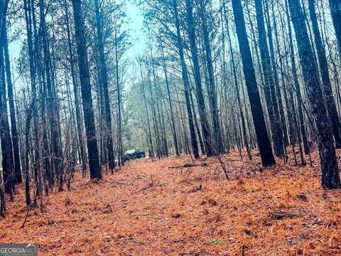 Photo of 0 St. Marys Road SW #TRACT 1A, Crawfordville, GA 30631 (MLS # 10686119)