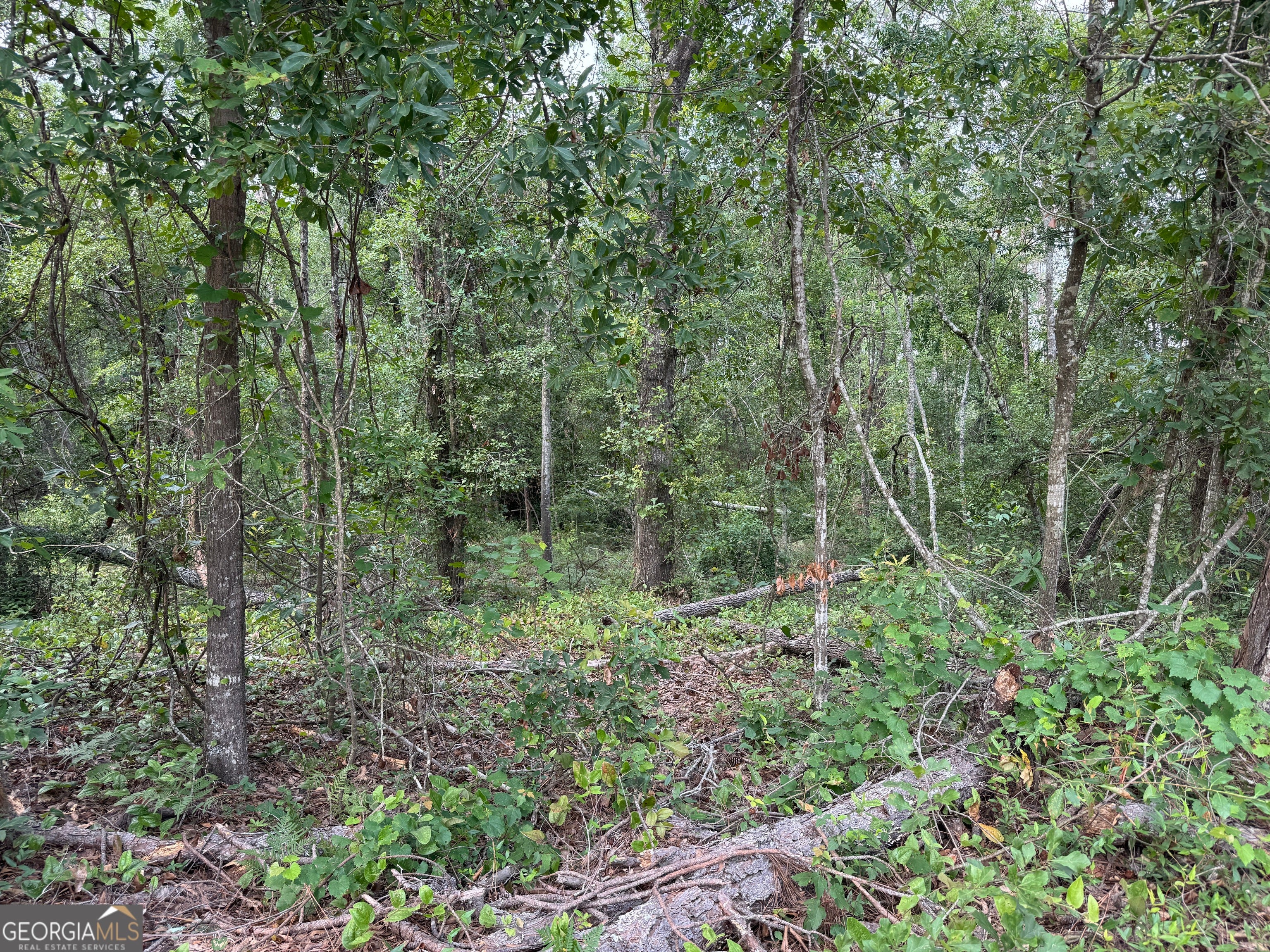 6.80 AC Scarlet RD