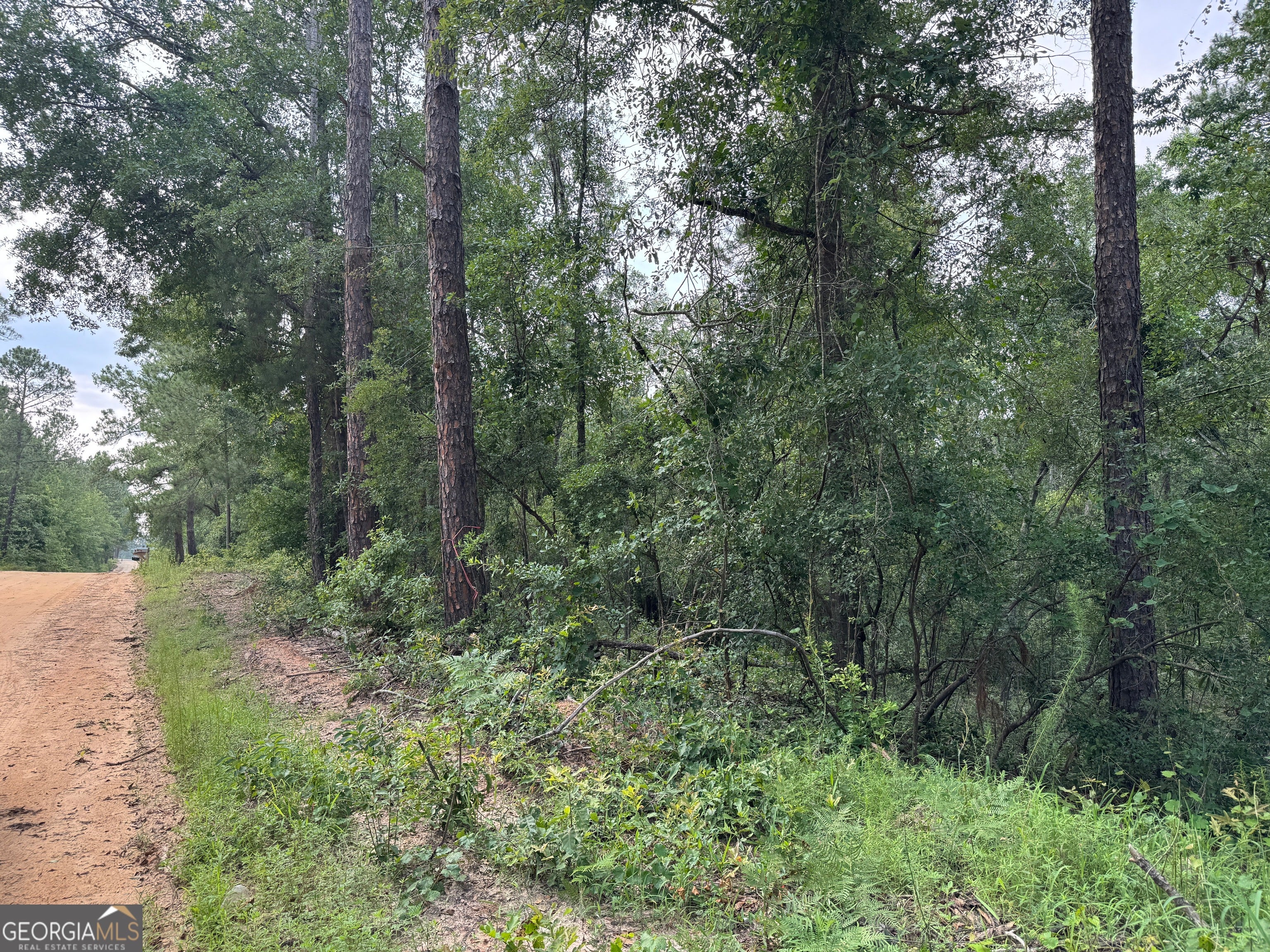 6.80 AC Scarlet RD