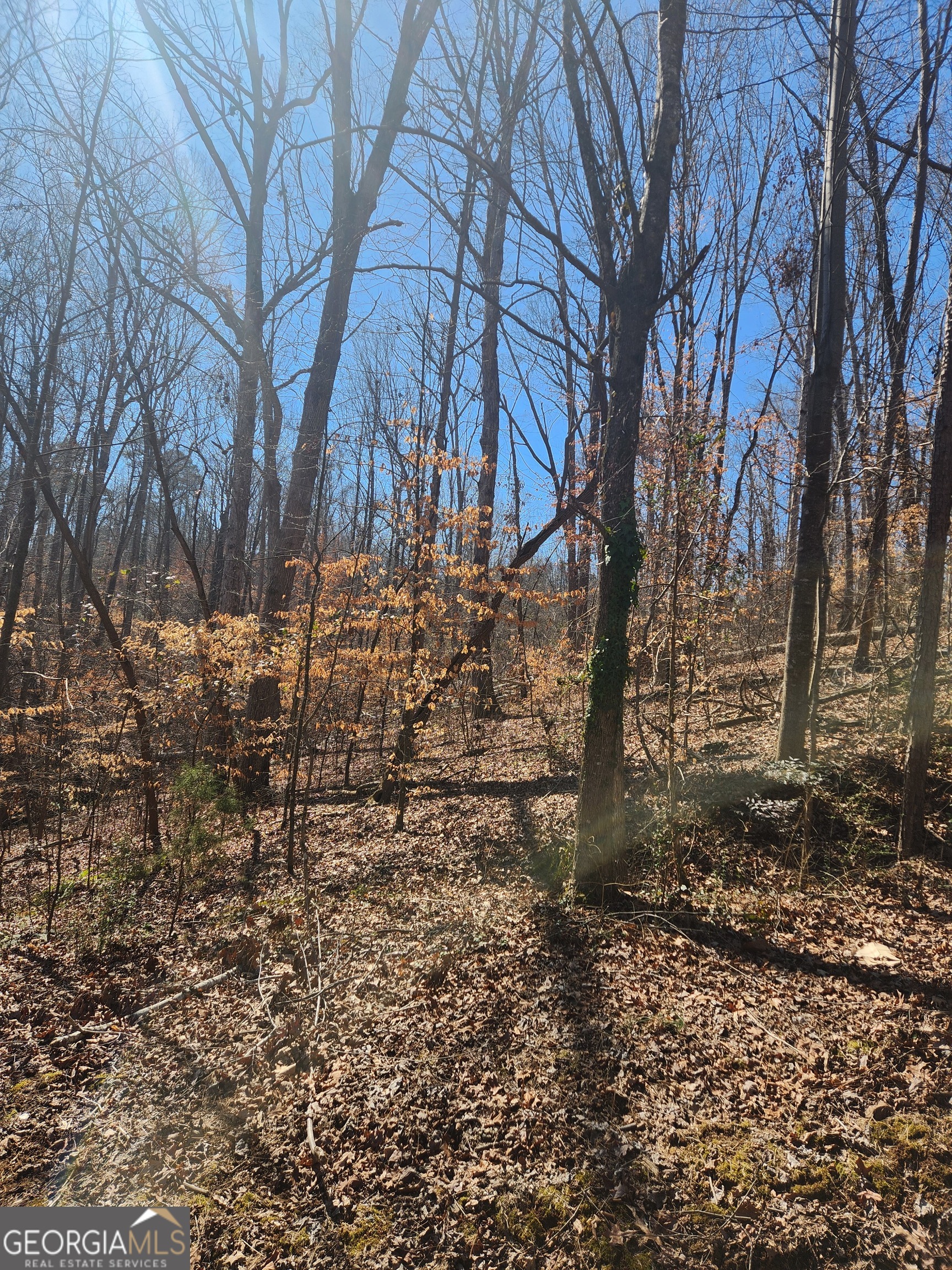 Lavonia, Georgia 30553, United States, ,Land,Active,77719 Lavonia, Georgia 30553, United States, ,Land,Active,77719