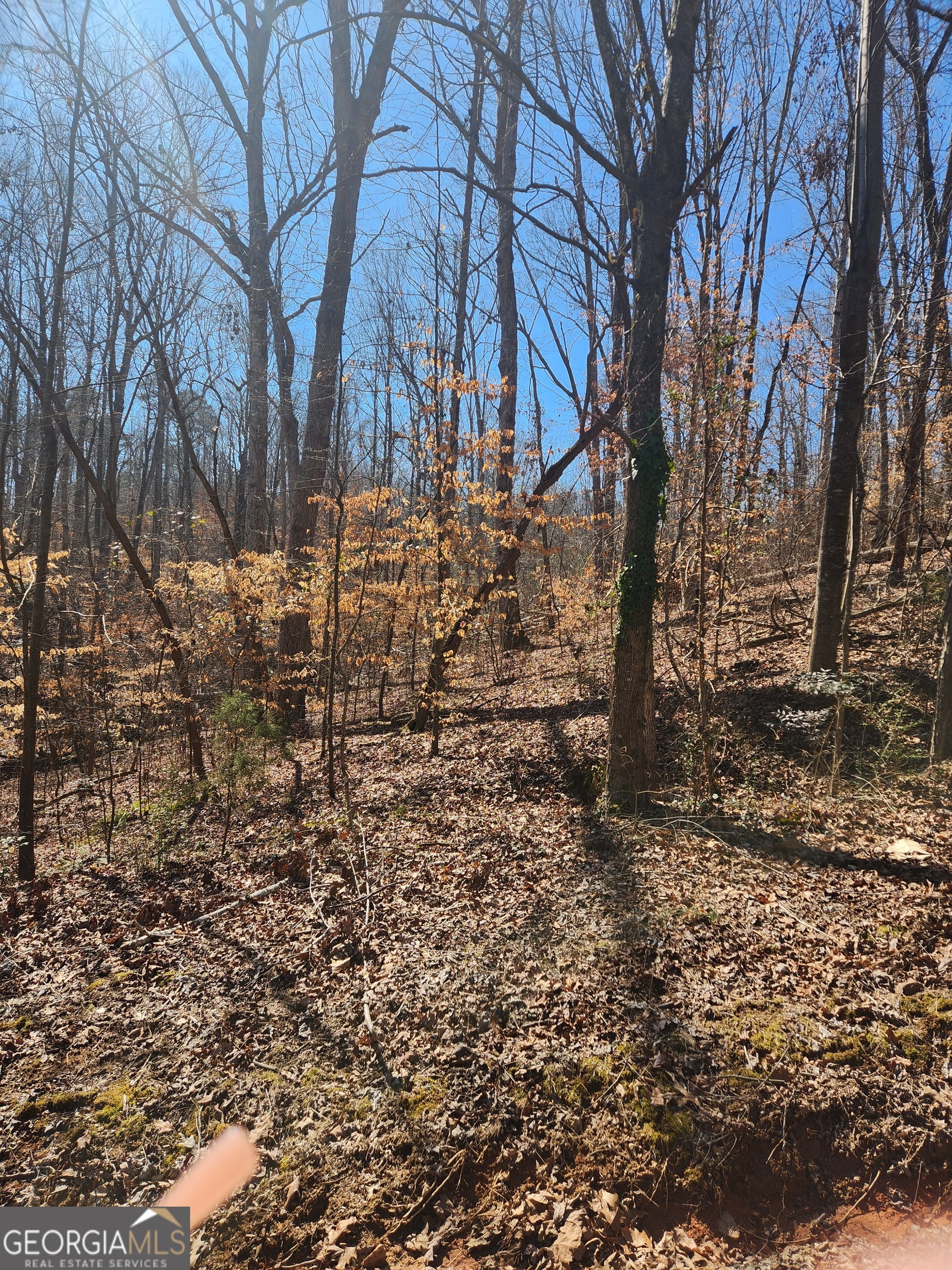 0 Ridgeview CT
