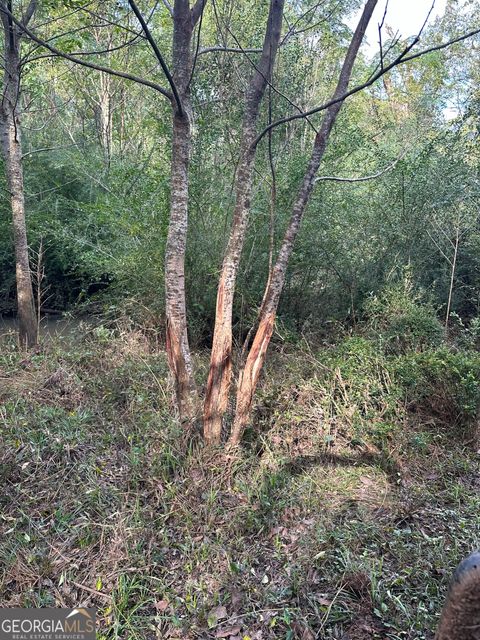0 seven islands rd Madison GA 30650