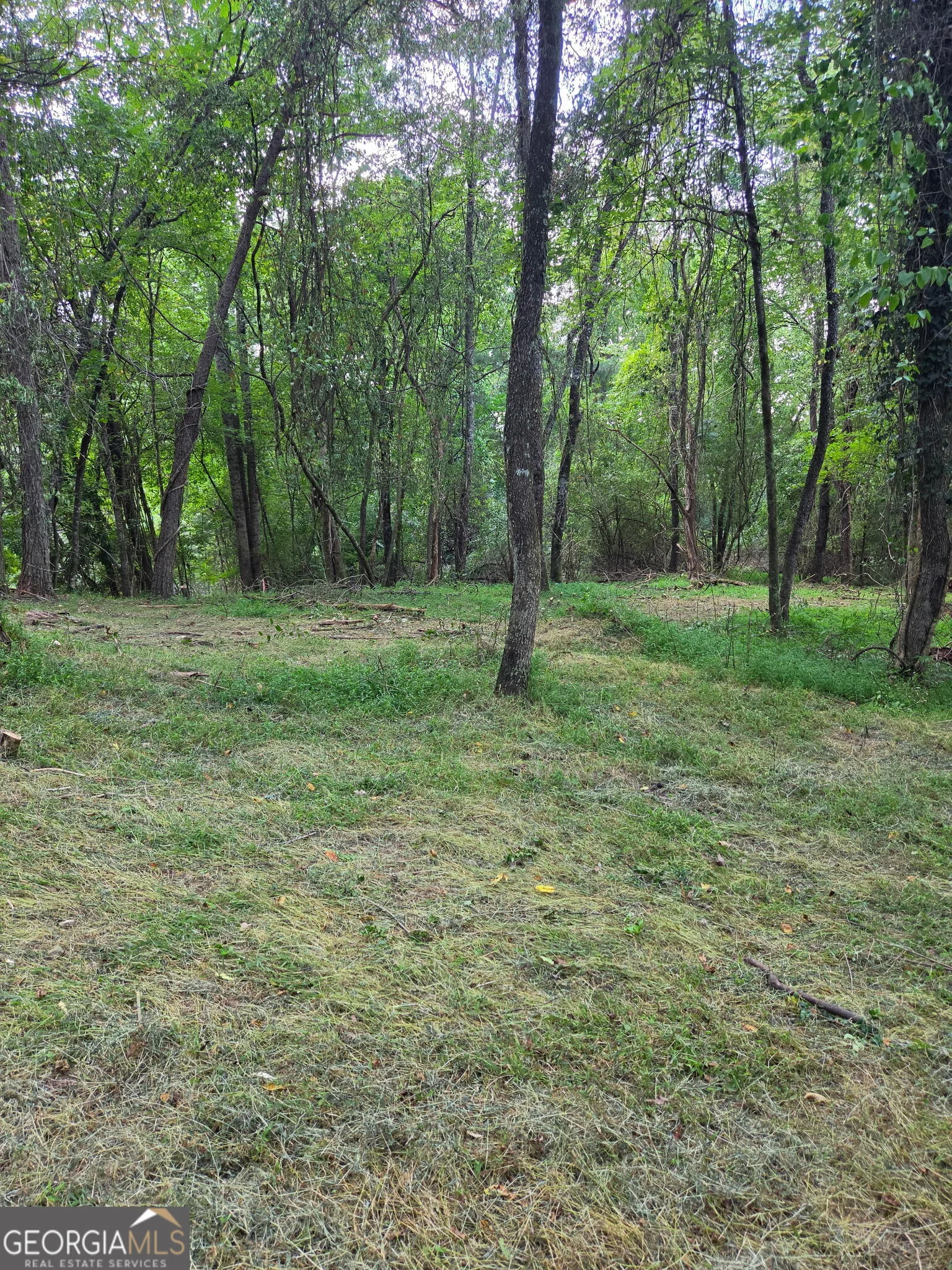 LOT 1 Thurman Street Unit 1, Mccaysville, GA, 30555