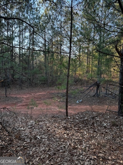 28.59 ACRES in Henry County