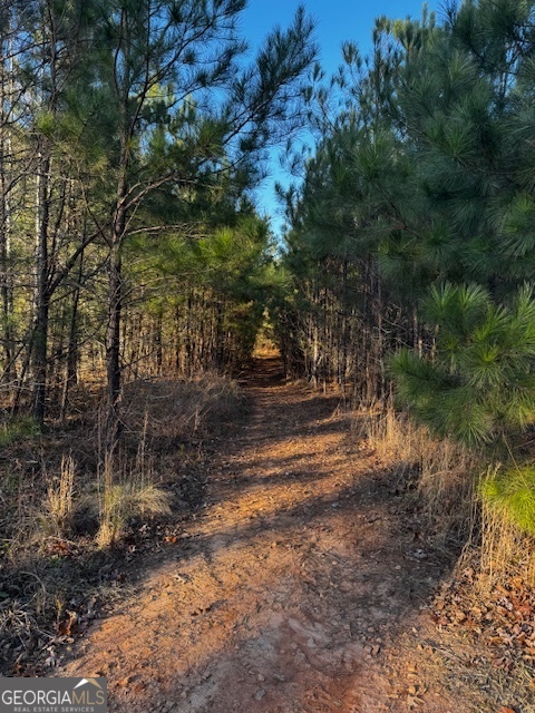 28.59 ACRES in Henry County
