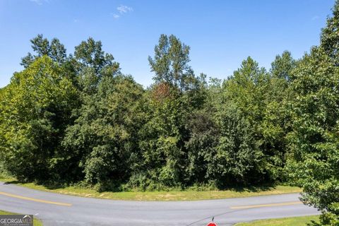 Photo of 0 Buck Boulevard SE, Calhoun, GA 30701 (MLS # 10275210)
