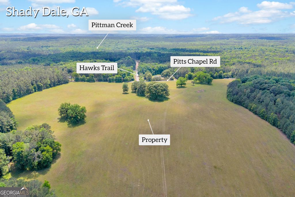 Photo of LOT C 0 Pitts Chapel Road, Monticello, GA 31064 (MLS # 10766124)