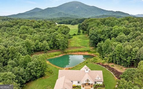 620 Slaton RDG Cleveland GA 30528