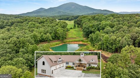 620 Slaton RDG Cleveland GA 30528