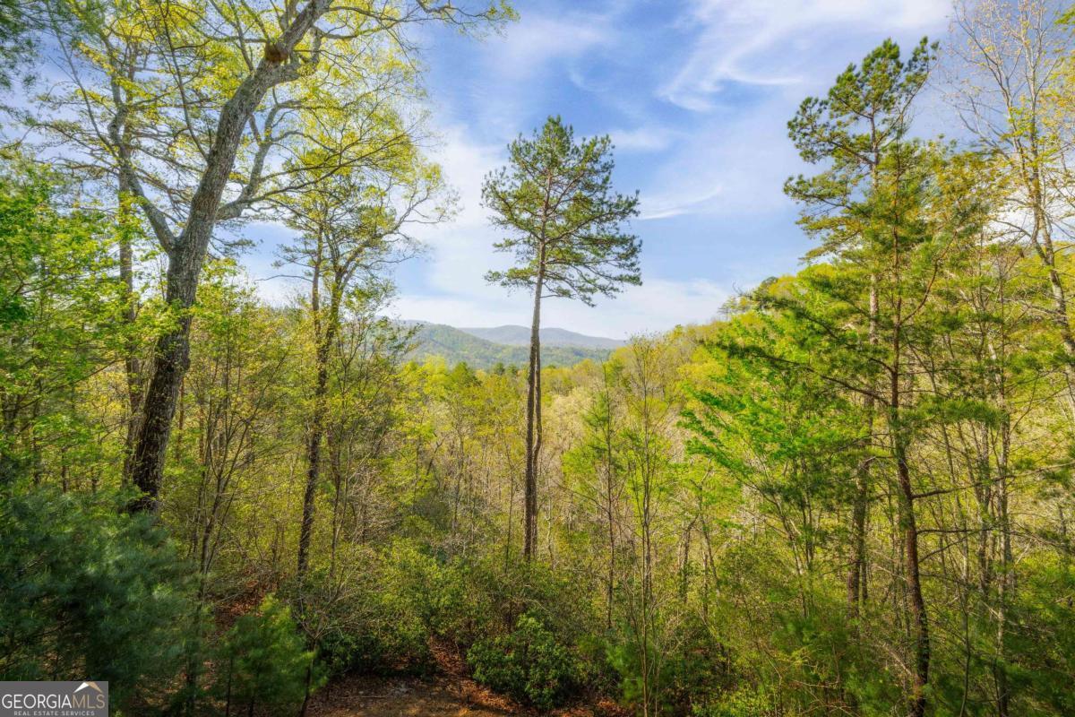 258 Dupont DR
