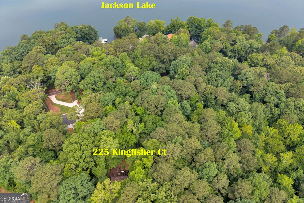 Photo of 225 Kingfisher Court, Monticello, GA 31064 (MLS # 10784288)