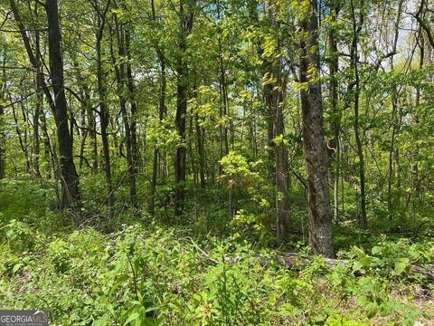 Photo of 0 Burnt Mountain Cove Road #4C 7C, Jasper, GA 30143 (MLS # 10434439)