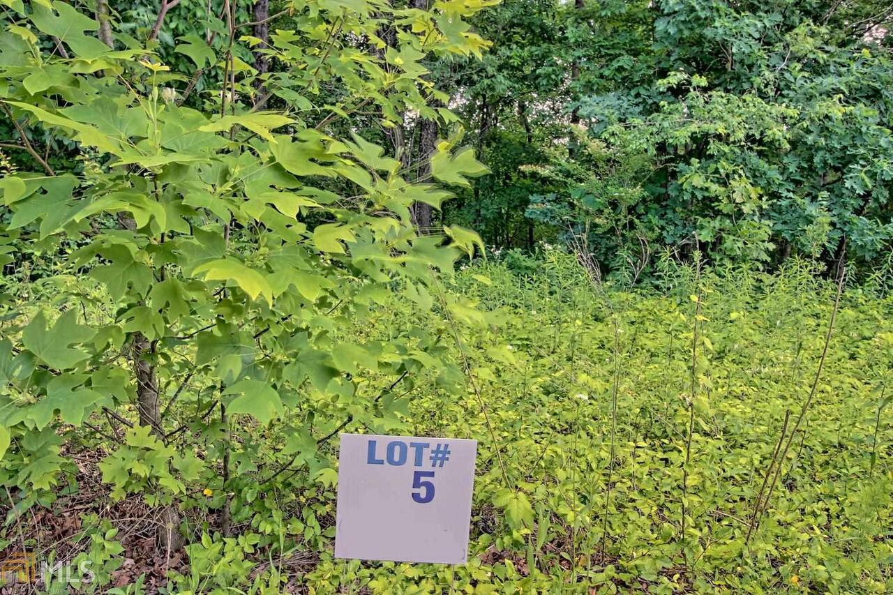 Clarkesville, Georgia 30523, United States, ,Land,Active,172510