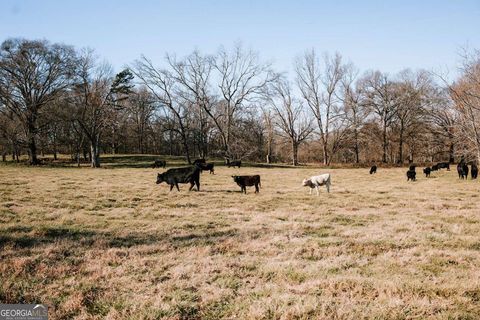 Photo of 0 Crawfordville Road, Stephens, GA 30667 (MLS # 10674081)