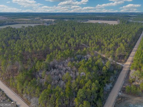 Photo of 5 Reddish Road, Odum, GA 31555 (MLS # 10721946)