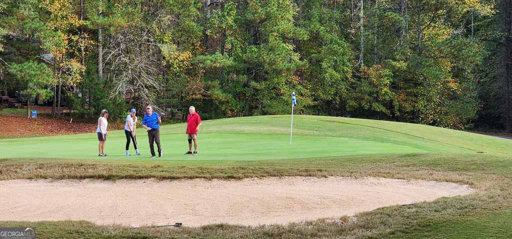 Photo of 18 E Mourning Dove Ct, Monticello, GA 31064 (MLS # 10683085)