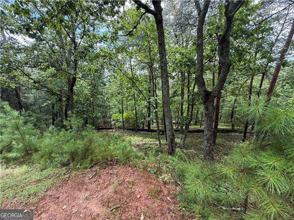 Photo of 16 Ridgewater Drive, Cartersville, GA 30121 (MLS # 10585543)