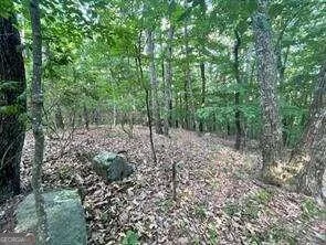 860 Cloudland Trace, Chickamauga, GA, 30707