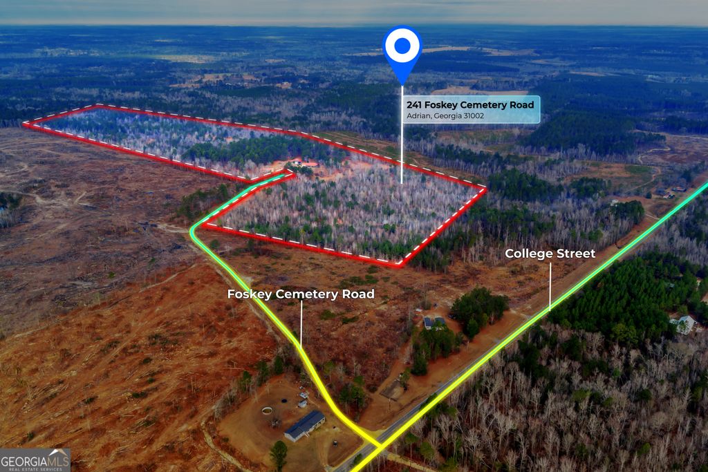 Photo of 241 Foskey Cemetary Road, Adrian, GA 31002 (MLS # 10680767)