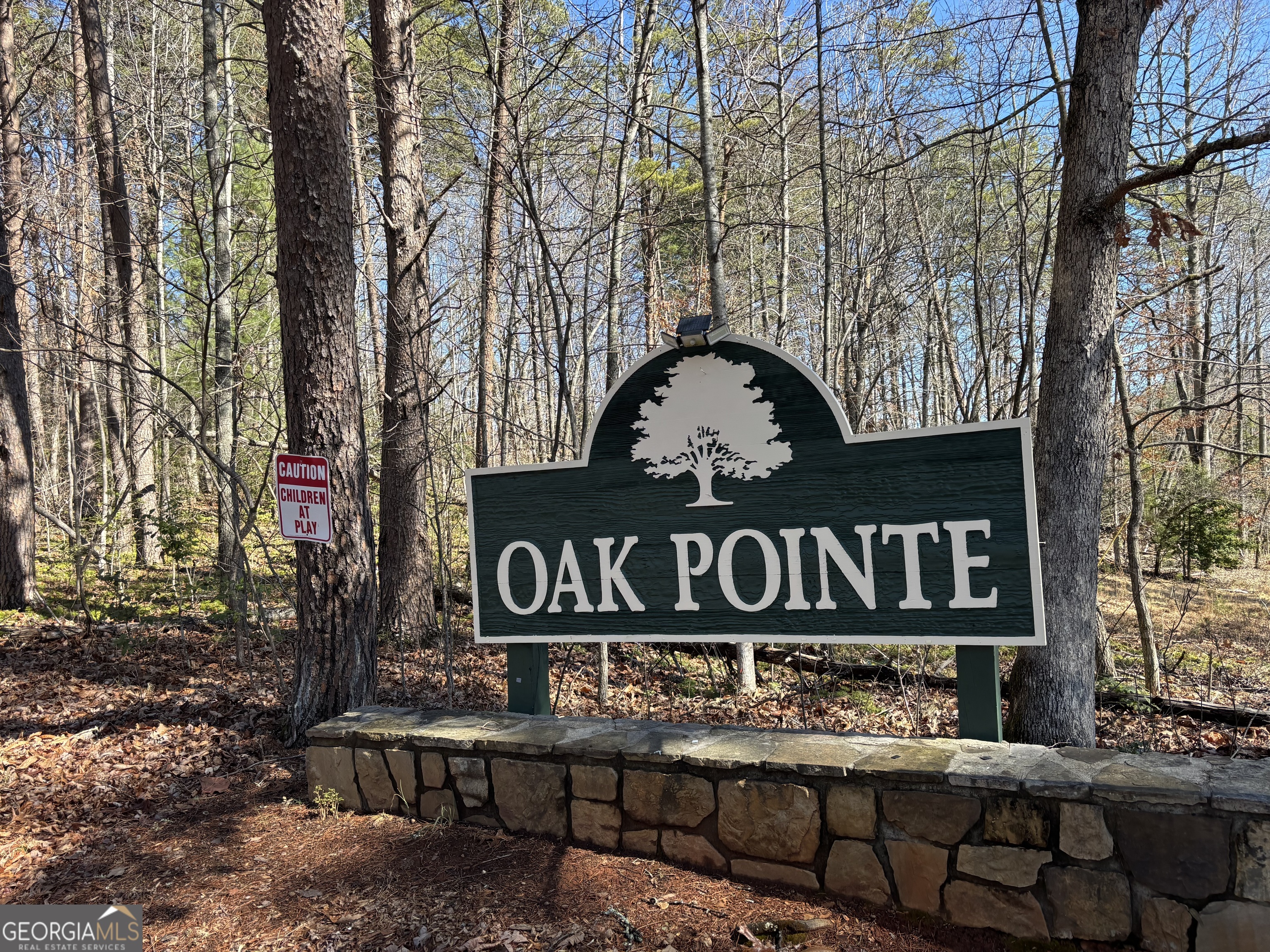 LOT 12 Oak Pointe Drive
