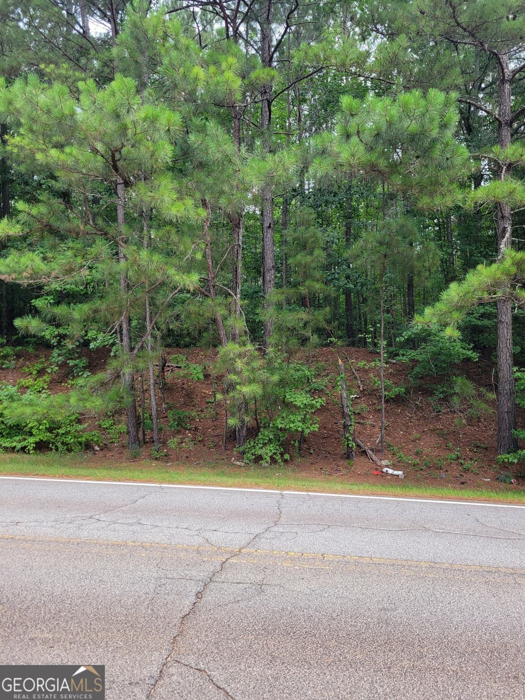 Photo of 0 White Mill Road, Fairburn, GA 30213 (MLS # 10095447)