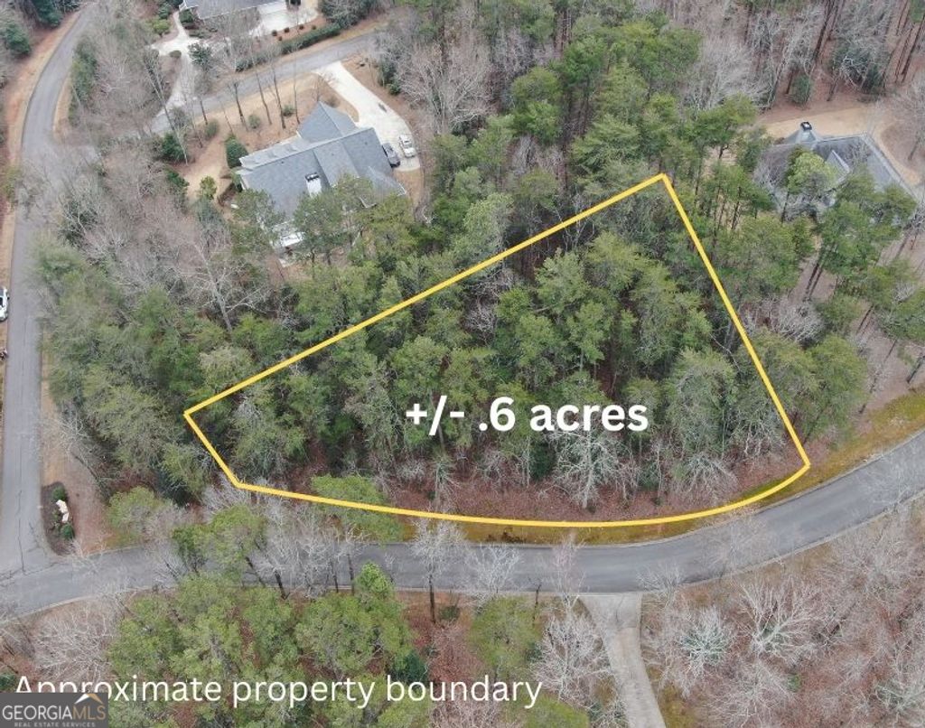 Photo of 0 Crabapple Road, Clarkesville, GA 30523 (MLS # 10692712)