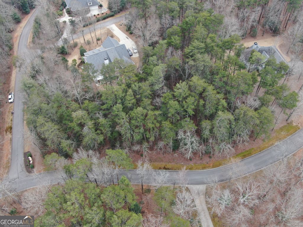 Photo of 0 Crabapple Road, Clarkesville, GA 30523 (MLS # 10692712)