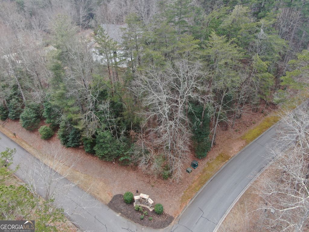 Photo of 0 Crabapple Road, Clarkesville, GA 30523 (MLS # 10692712)