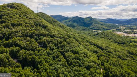 12 Walnut Mountain Road Rabun Gap GA 30568