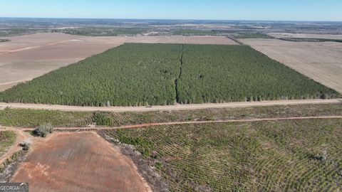 Photo of 0 Belmont Road, Louisville, GA 30434 (MLS # 10684732)