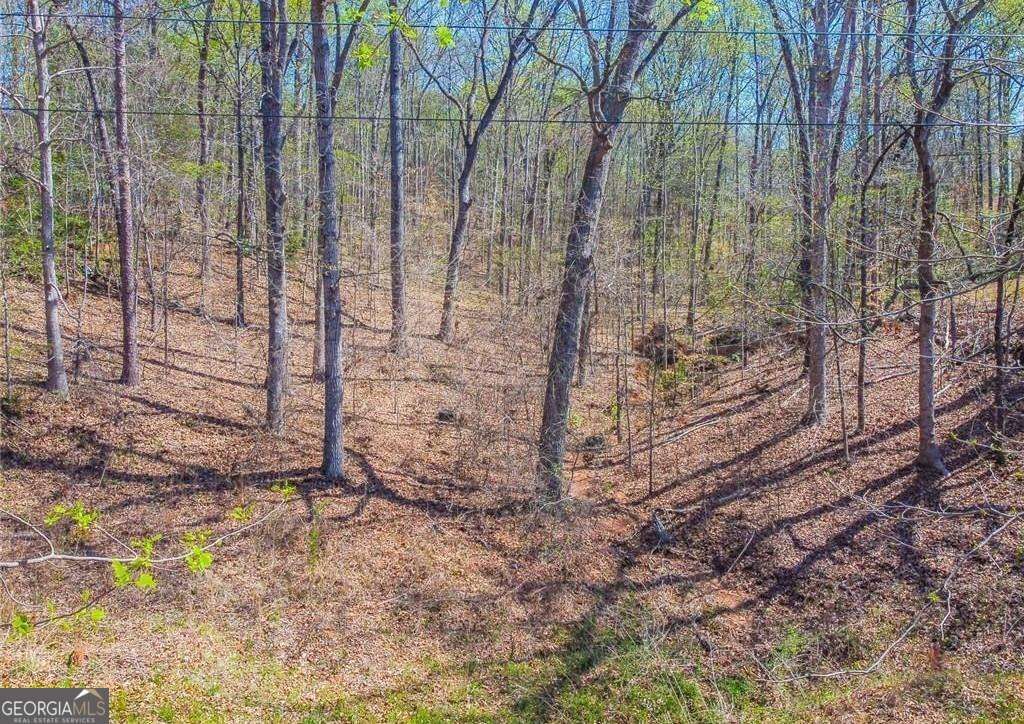 Photo of 0 Arrow Lane, Lavonia, GA 30553 (MLS # 10741022)