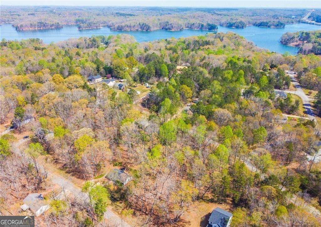 Photo of 0 Arrow Lane, Lavonia, GA 30553 (MLS # 10741022)