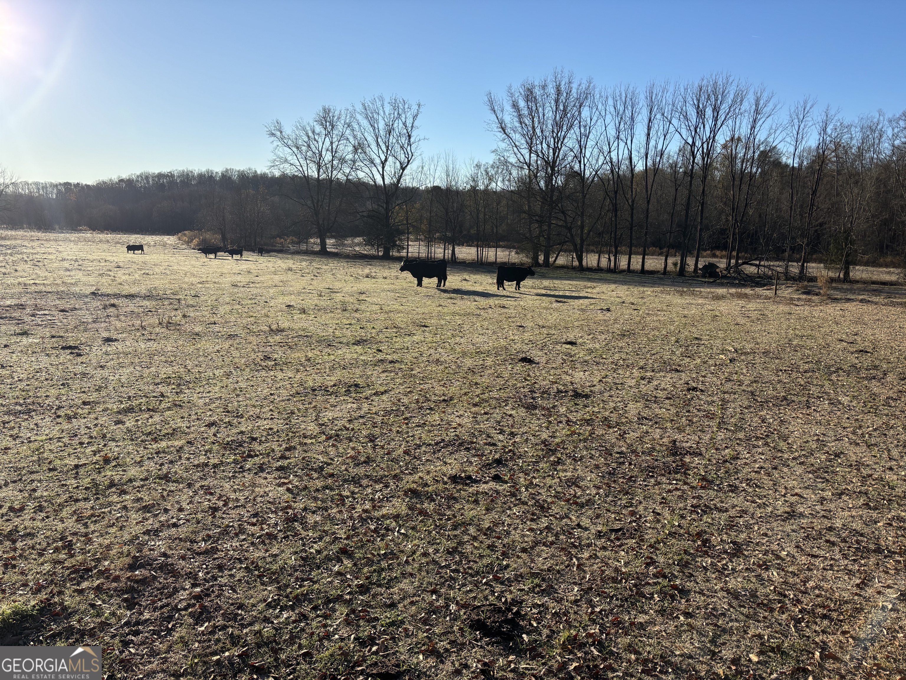 672 Winford Smith RD