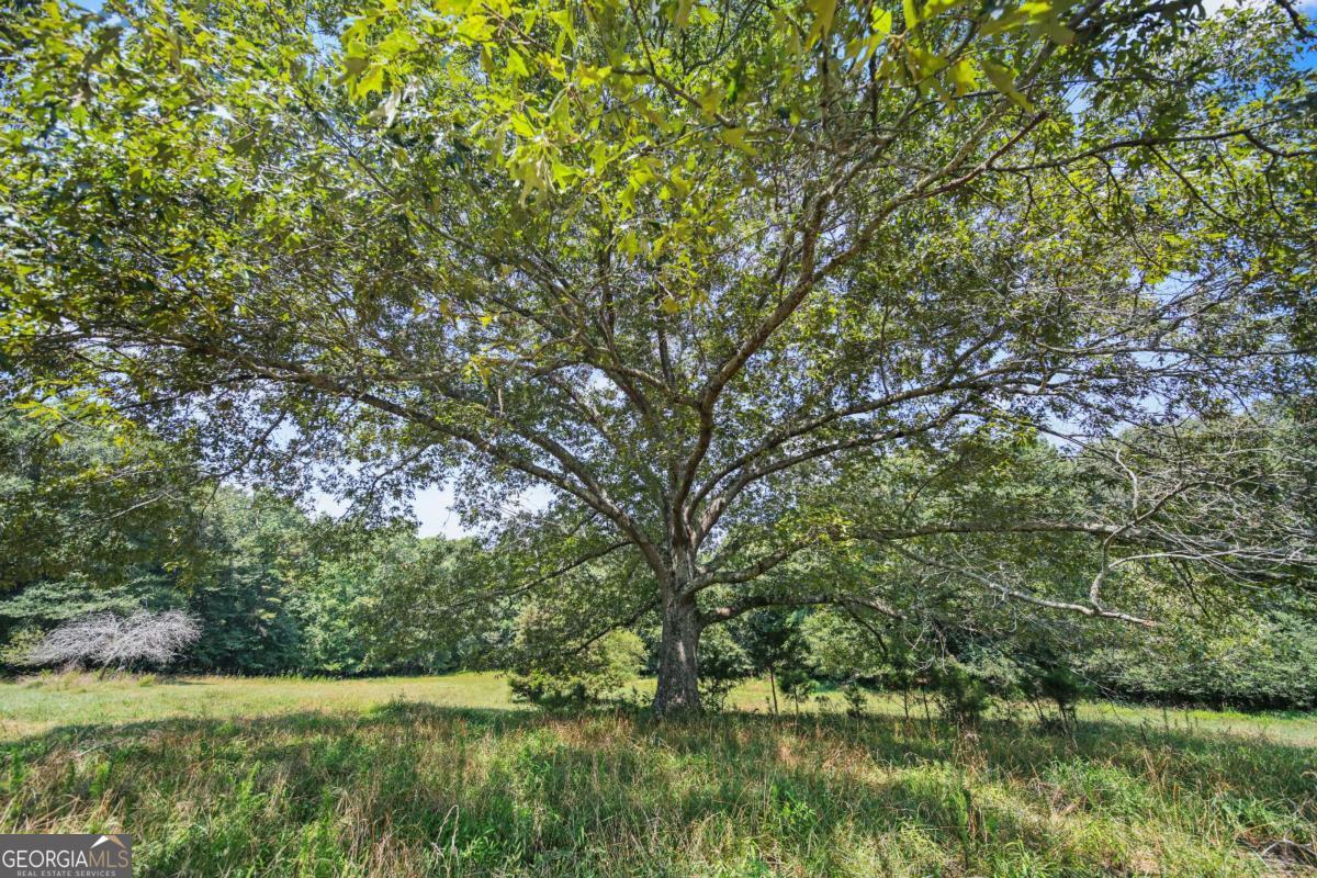 LOT 3 Old State RD