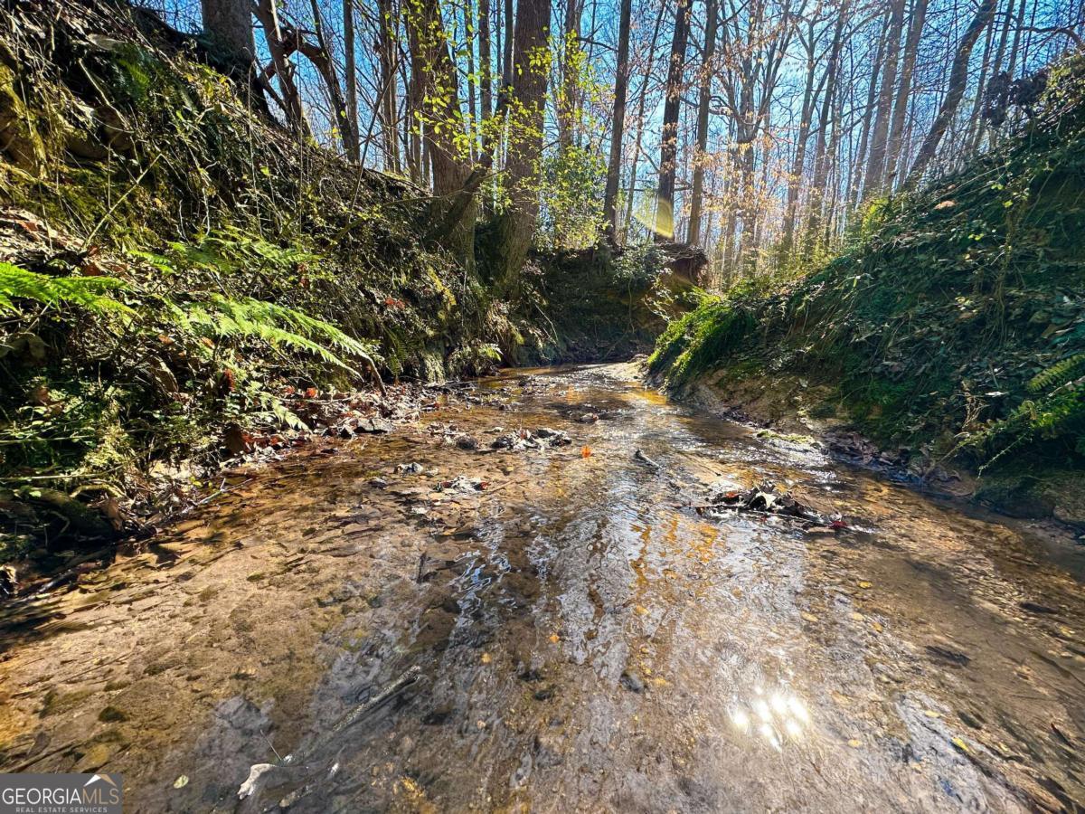 LOT 3 Old State RD