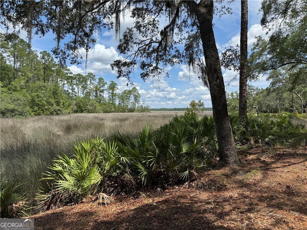 Imagine waking up to breathtaking marsh-front views every single day. This exceptional 1.12-acre lot in the exclusive gated community of River Place Plantation offers just that! Convenience meets natural beauty with this prime piece of real estate. Recently bush-hogged and with clearly marked property corners, this lot is a breeze to walk and envision your future home. Not in a flood zone. You'll have easy access to the community's fantastic amenities, including the clubhouse, pool, and dock, perfect for enjoying the coastal lifestyle. River Place Plantation is more than just a community; it's a lifestyle retreat offering privacy and the best of coastal/country living. Don't miss this rare opportunity to build your custom home with unparalleled marsh views. The community offers a pristine setting and wonderful features including a Deep-water Dock, gorgeous club house with fireplace and marsh front swimming pool. River Place offers direct access to the Atlantic Ocean and is equipped with a community dock w/boat slips and boat storage area. River Place landowners pride themselves in maintaining this community immaculately and keeping it private for owners only. Therefore, to tour or view this lot will require a Realtor with Gate KeyCard to accompany potential buyers in the Subdivision. You will be pleasantly impressed with the beauty of this lot! Great location in the community too. Utilities that serve the neighborhood: GA Power, Water Utility Mgmt for Water & Sewer hookups. Website is www.WaterGA.com. Verizon is available for internet. Min. 2100 SQFT for houses. See documents for covenants and ARB info.