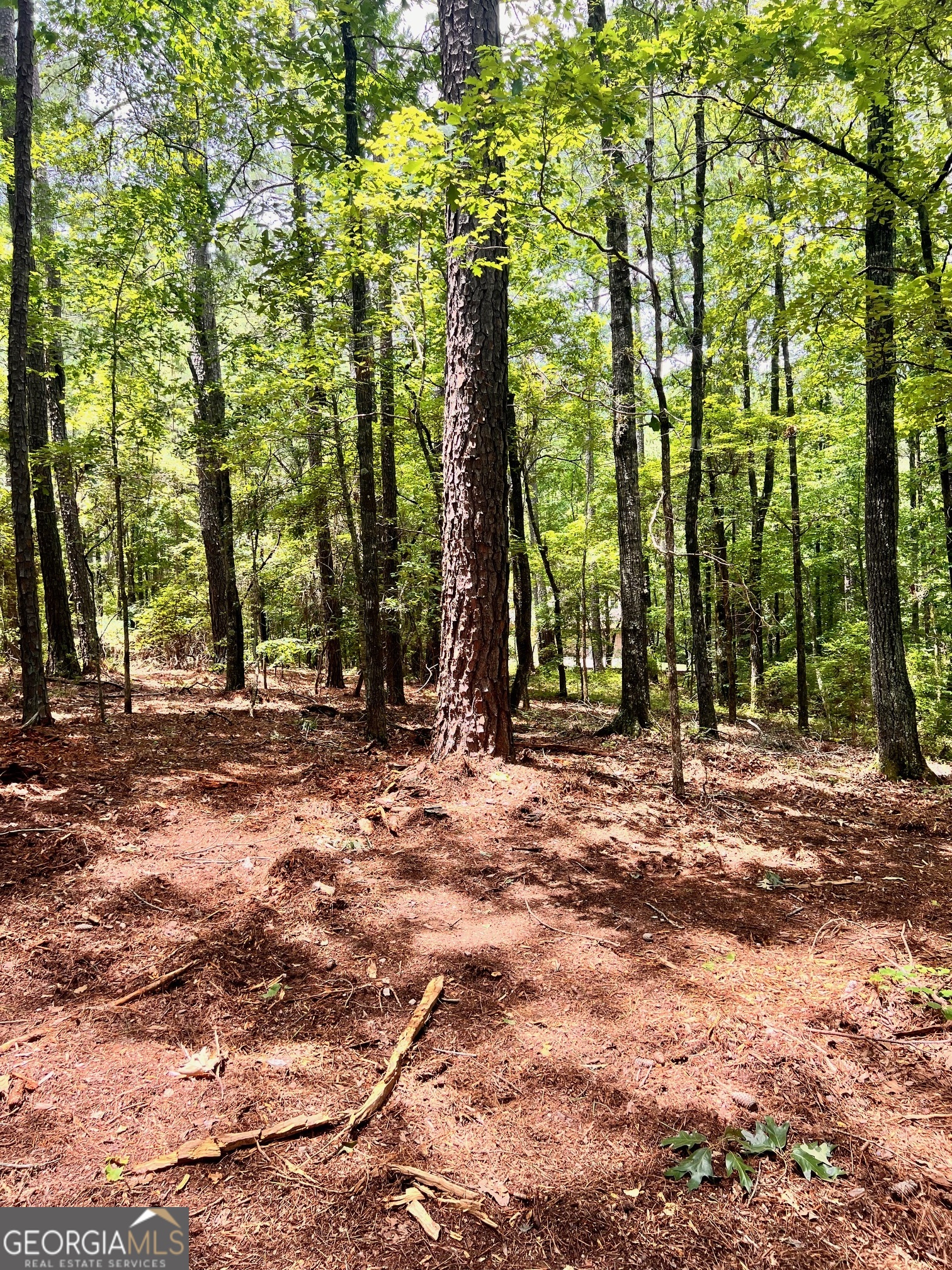 The Retreat - Land