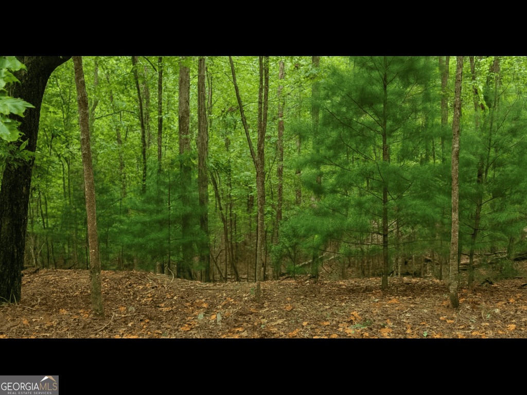 Coosawattee River Resort Lot - Ellijay Build your dream cabin on this wooded lot in the gated Coosawattee River Resort. Enjoy access to indoor/outdoor pools, river parks, fitness center, tennis courts, and more. Perfect for a full-time home, vacation getaway, or rental investment. Just minutes from downtown Ellijay's shops, dining, and wineries. Your mountain retreat awaits! Contact us today for details.