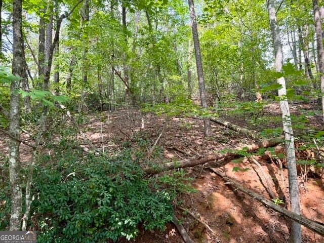 40 Madeline Anthony RD