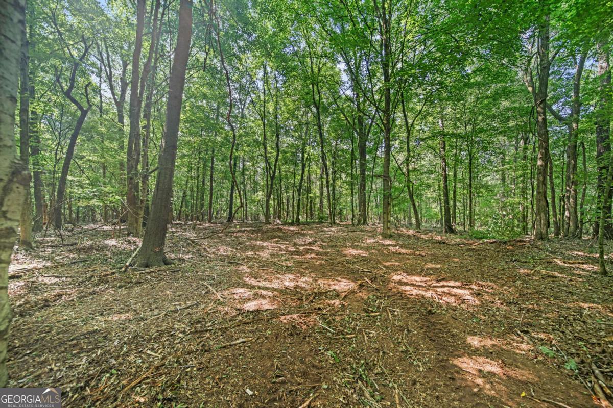 LOT 6 Lord RD