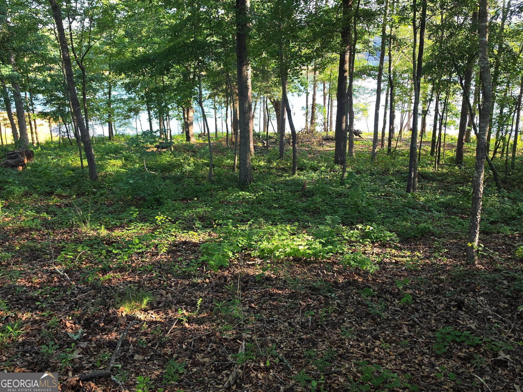 LOT 1 Pointe Sidney DR