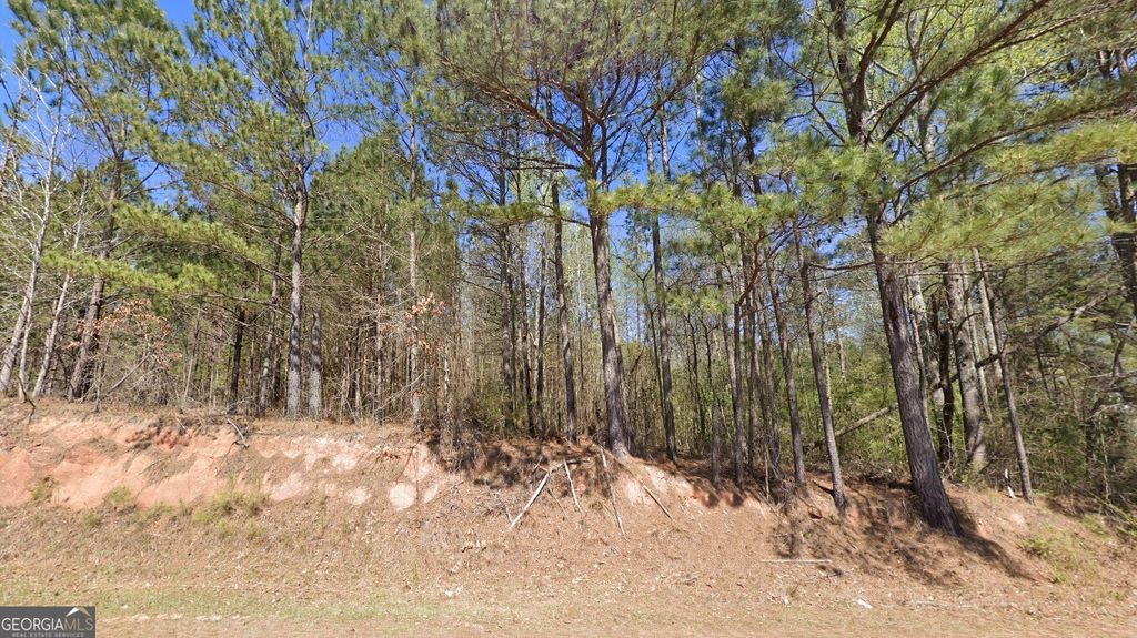 Photo of 609 Leonard Road, Lagrange, GA 30241 (MLS # 10740560)