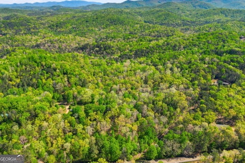 Photo of 1933 Highway 136 W, Talking Rock, GA 30175 (MLS # 10870493)