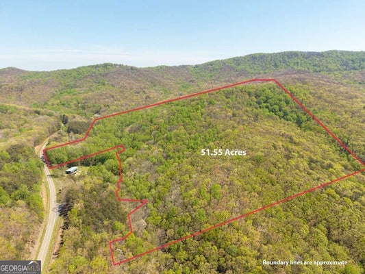 0 BURNT MOUNTAIN ROAD, ELLIJAY, GA 30536 - Image 6f041c9cf2d774bb239b5d3f6dca8392/416434520